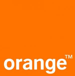 orange logo  300