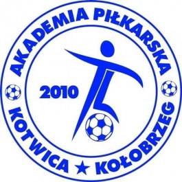 logotyp Akademii Piłkarskiej - Kliknięcie w obrazek spowoduje wyświetlenie jego powiększenia