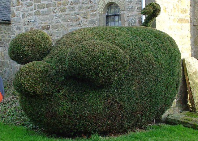 File:" Green Pig" - geograph.org.uk - 245244.jpg
