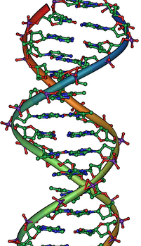 DNA Overview2 crop.png