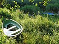 Dźwirzyno-abandoned boats.jpg