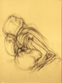 Anatomical study on sepia paper by Christopher Willard.png