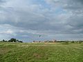 Niekanin pola (bocian) - panoramio.jpg