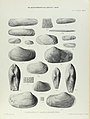 Illustration of Cretaceous Lamelliabranchia by Thomas Alfred Brock-Monograph of Palaeontographical Society-Vol63 1909 0239-Plate 35.jpg