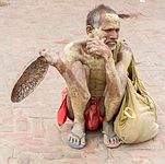 Sadhu in Janaki Temple, Janakpur-September 22, 2016-IMG 7437.jpg