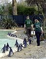04-01-05 London Zoo 148.JPG