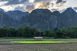 Square plot of a green paddy field, hut and karst mountains under colorful clouds at sunset, Vang Vieng, Laos.jpg