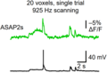 ASAP2s 2P sliceCulture single trial trace.png