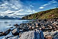 Coast and beach landscape in U.S.jpg