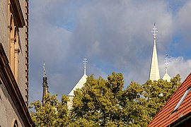 Münster, St.-Paulus-Dom -- 2020 -- 8326.jpg