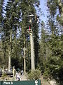 "Action Challenge" at Center Parcs - geograph.org.uk - 398015.jpg