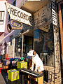 101 Music, North Beach, SF.jpg