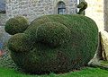 " Green Pig" - geograph.org.uk - 245244.jpg