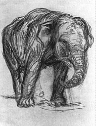 Franz Marc: Elephant