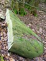 06 Bellefontaine (95) 29.01.2011 pièce détaché du Menhir quand il s'était cassé.jpg