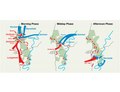 Antietam maps of different phases of battle on Sept. 17, 1862 (83a89d2f-fba1-40bc-a9b3-568b80f79b2c).pdf