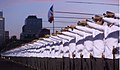Alféreces de la Escuela Militar de Chile juran como Oficiales.jpg