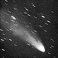 Comet Arend-Roland May 5.00, 1957.jpg