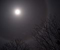 Halo of the Moon 月の暈 1 - panoramio.jpg