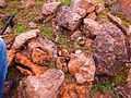 Fossils. a view from Goygol National Park. Photo by Uzeyir Mikayilov 1.jpg