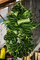 Ilex guayusa getrocknet.jpg