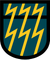12SFG beret flash.svg
