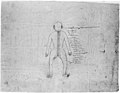 Anatomical chart. Tibetan, showing spinal cord vertebrae of one figure. Wellcome M0004286.jpg