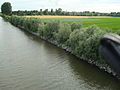 Berges lagunees Escaut enrochements berges proche.jpg