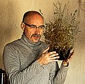 Kenraiz & Lamarckia aurea.jpg