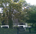 10blackheathpark.jpg