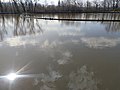 Nautilus Pond, Dale Hodges Park.jpg