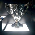 2010-11 Turkish Cup.jpg