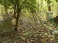 Dawny cmentarz niemiecki w Starym Borku (Friedhof in Alt Bork) - panoramio (1).jpg