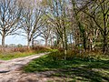 Gronsfurther Berge, Rendsburg (P1100730).jpg