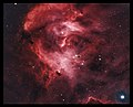 Running Chicken Nebula Collaboration.jpg