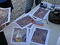 Walking Papers for mapping Party.jpg