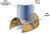 Minimal surface curvature planes-fr.svg