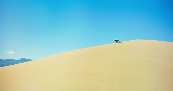 File:Desert Horse - Leica Thalia.webm