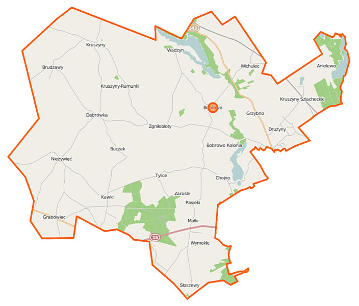 File:Bobrowo (gmina) location map.png