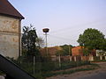 Ciconia ciconia nest in Sarbia.jpg
