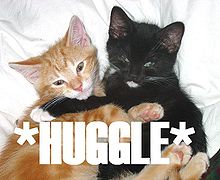 Huggle4gurch.jpg