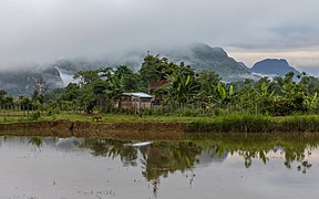 Water reflection of karst mountains, wooden houses, trees and mist in a paddy field of Vang Vieng Laos (2).jpg