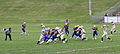 Edmonton Huskies Pass.jpg