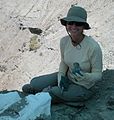 Excavating for fossils (24964993233).jpg