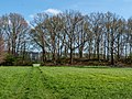 Gronsfurther Berge, Rendsburg (P1100727).jpg