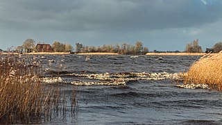 Langweerderwielen-Langwarder Wielen. Storm Ciara. 11-02-2020. (d.j.b) 10.jpg