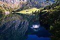 Fischunkelalm Obersee.jpg