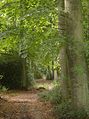 "33 ... 34 ... 100 ... coming, ready or not" - geograph.org.uk - 593610.jpg