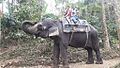 Cochin elephantride.jpg