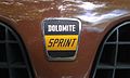 1978 Russet Brown Triumph Dolomite Sprint in Morges 2013 - Radiator badge.jpg